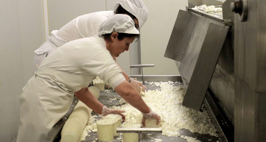 Proceso de elaboracion del queso