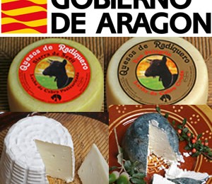 Reconocimiento Gobierno de Aragon