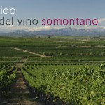 Ruta del vino Somontano